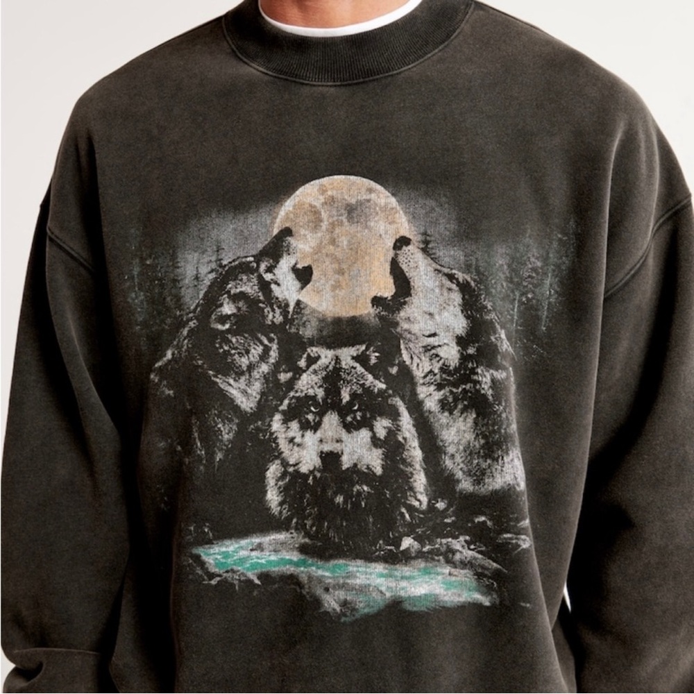 Abercrombie & Fitch Alaska Wilderness Oversized Graphic Crewneck Sweatshirt